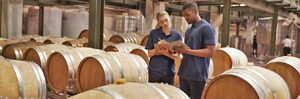 Woman and man in barrel room studying pad screen.